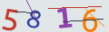 verifycode